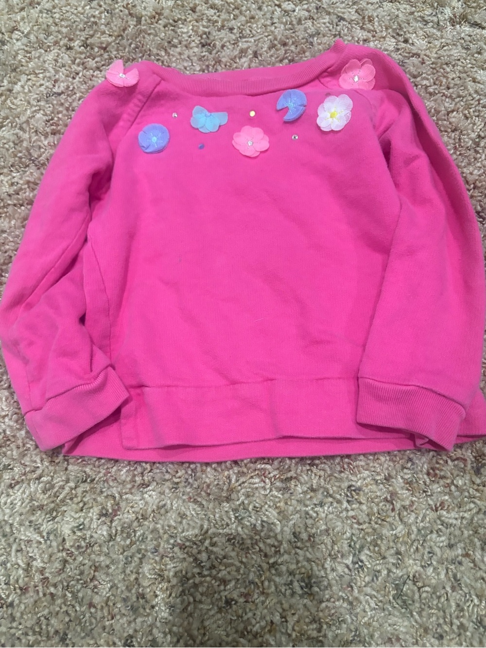Carter's Hot Pink Floral & Butterfly Applique Pullover